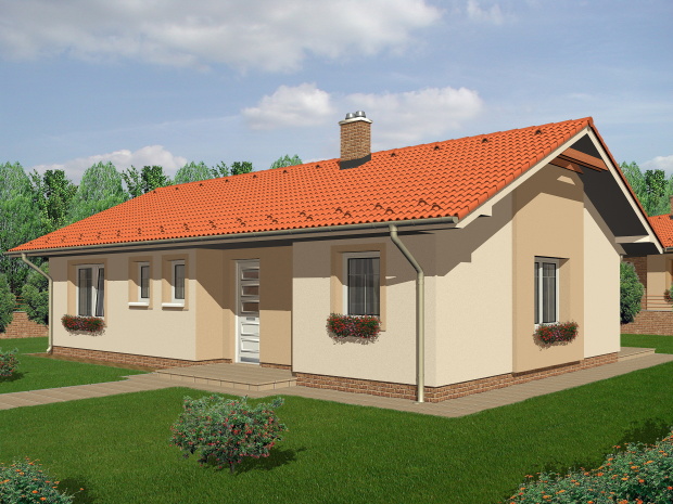 Array - perspektiva PL